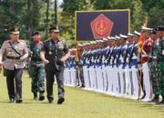 Sinergisitas TNI-Polri akan Jamin Stabilitas Keamanan dan Politik