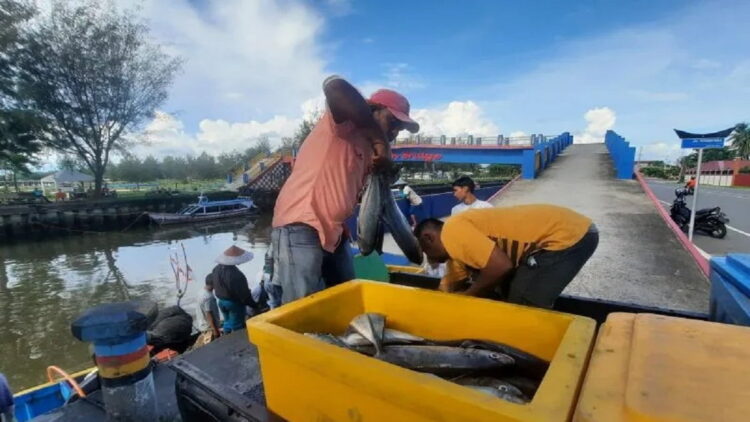 Nelayan memasukkan ikan hasil tangkapan ke dalam kontak di Muara Gandoriah, Kota Pariaman, Sumbar. ANTARA/Aadiaat M. S