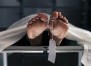 Tim DVI Identifikasi Dua Korban Tambahan Ambruknya Ponpes Al Khoziny, Total 53 Jenazah