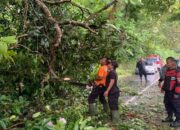 BPBD Agam Catat 29 Bencana Alam Terjadi akibat Curah Hujan Tinggi