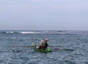 Produksi Ikan Budidaya di Pariaman 2024 Capai 324,3 ton