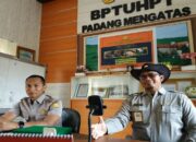 Produksi Sapi di BPTU-HPT Padang Mangatas Capai 390 Ekor hingga November 2022