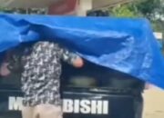 Viral! Aksi Warga Timbun Pertalite di Mobil L300 di Sijunjung