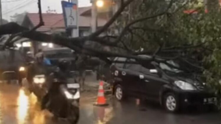 Mobil tertimpa pohon di Jalan Raya Indarung