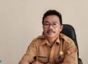 Dampak Erupsi Marapi, Puluhan Ha Lahan Pertanian di Agam Gagal Panen