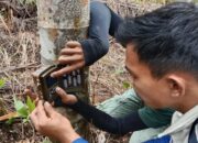 BKSDA-Sintas Latih Masyarakat Agam Jaga Satwa Liar