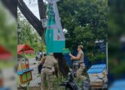 Dipasang di Pohon, Puluhan Reklame Ilegal Dibongkar Satpol PP Padang