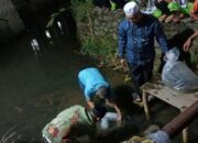 Tingkatkan Sarpras Nelayan, Pemkab Pasbar Optimistis Target Produksi 114.813 Ton Ikan Tercapai