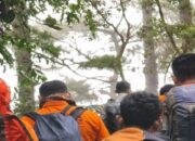 Pascaerupsi, 164 Pendaki sudah Turun dari Gunung Marapi
