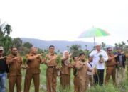 Pemkab Pasbar Dorong Nagari Tanam Bawang dan Cabai, Ini Tujuannya