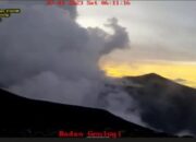 Usai Turunkan 104 Pendaki, BKSDA Sumbar Sebut Marapi sudah Steril