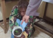 Tangkap Tersangka Pencurian, Polisi di Bukittinggi Temukan 10 Batang Ganja