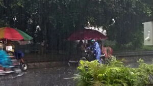 Ilustrasi - Hujan lebat disertai petir mengguyur Purwokerto, Kabupaten Banyumas, Kamis (5/1/2023) siang. (ANTARA/Sumarwoto)