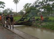 Pohon Tumbang Sumbat Aliran Irigasi Sungai di Pasar Baru Padang