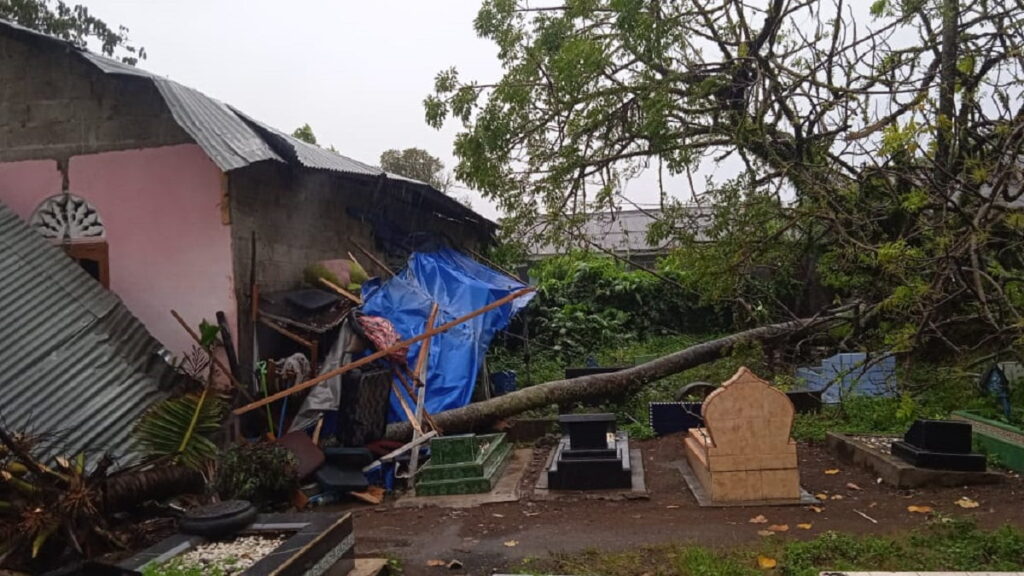 TEKS FOTO: Pohon tumbang di kawasan Ulak Karang Selatan, Kota Padang pada Senin (23/1/2023) sore. (Dok. Pusdalops PB)