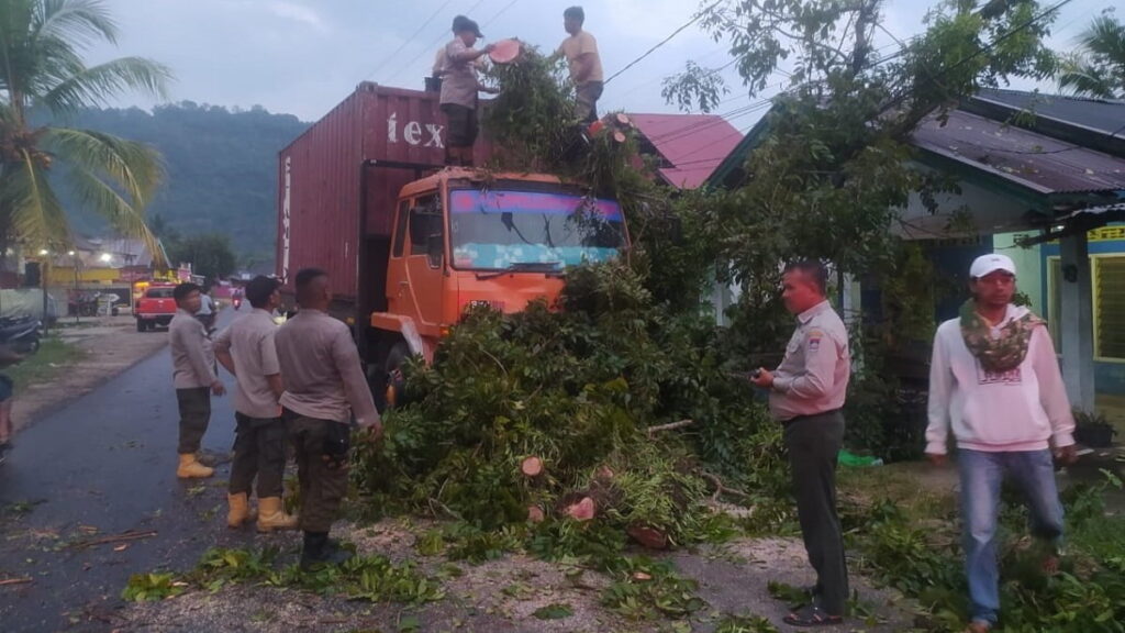 Satu pohon tumbang usai dihantam truk kontainer di kawasan Kuranji, Kota Padang. (Foto: radarsumbar.com/Dok. Pusdalops PB)