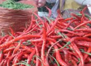 Harga Cabai Merah di Padangpanjang Alami Kenaikan Cukup Signifikan