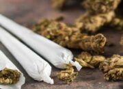 Polda Sumbar Musnahkan 40 Kg Ganja Hasil Pengungkapan Jaringan Narkoba Antarprovinsi