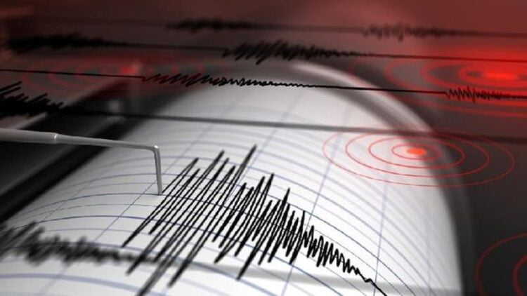 Ilustrasi gempa. (Istockphoto/Petrovich9)