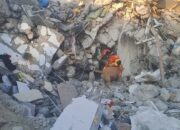 Tim Pencarian asal Indonesia Evakuasi 4 Jasad Korban Terdampak Gempa Turki