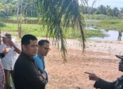 Minimalisir Konflik dengan Manusia, BKSDA bikin Penangkaran Buaya di Tanjungmutiara Agam