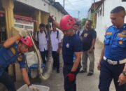 Damkar Padang Evakuasi Ular Piton di Plafon Rumah Warga