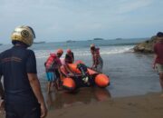 Seekor Paus Muncul di Perairan Padang, Sempat Terjerat Jaring Nelayan