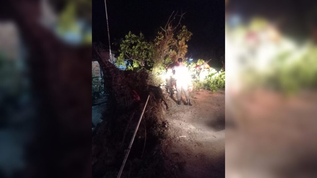 Pohon tumbang timpa warung dan tutup akses jalan di kawasan Batipuh Panjang pada Jumat (17/2/2023) malam. (Foto: Dok. BPBD Kota Padang)