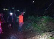 BPBD Agam Catat Tiga titik Tanah Longsor Timbun Badan Jalan di Ampekkoto