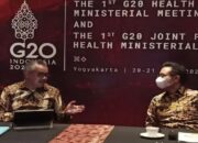 Menkes Akui WHO Banyak Berkontribusi untuk Kesehatan Masyarakat Indonesia