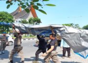 Tak Terima Ditertibkan Satpol PP, Emak-emak di Padang Ini Histeris hingga Pingsan