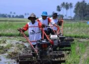 Pemkab Tanahdatar Targetkan 4.300 Hektare Sawah Dapat Layanan Bajak Gratis