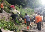 Pohon Tumbang Timpa Bengkel Warga di Padang