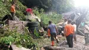 Petugas TRC BPBD Kota Padang membersihkan pohon tumbang di kawasan Padang Besi pada Sabtu (11/3/2023) pagi. (Foto: Dok. Pusdalops PB)