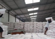 Alokasi Pupuk Subdisi untuk Solok Selatan 11.500 Ton, Ini Rinciannya