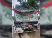 Tabrakan Beruntun di Sijunjung, 3 Bus Lintas Provinsi Ini Hancur