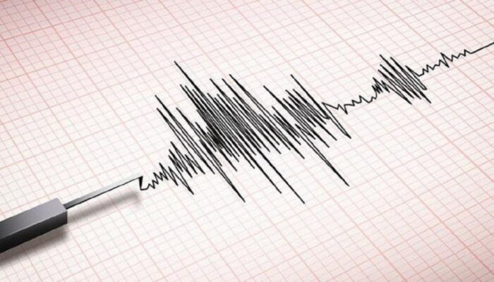 Gempa Magnitudo 6,7 Guncang Kepulauan Tanimbar Maluku
