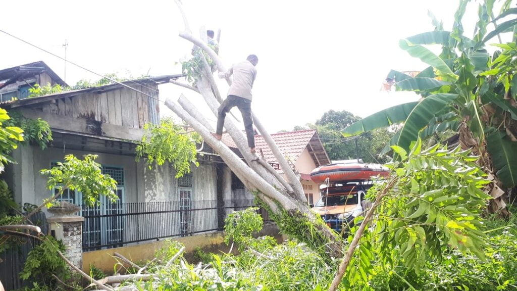 Pohon tumbang di kawasan Lubuk Minturun pada Sabtu (29/4/2023) siang. (Foto: Dok. Pusdalops PB)