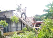 BPBD Bersihkan Pohon Tumbang yang Timpa Atap Rumah Warga di Padang