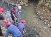 Damkar Padang Amankan Piton sepanjang 3 Meter dari Selokan Depan RSGM Unand