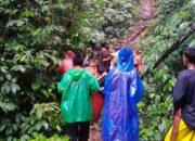 Tersesat saat Cari Burung, Bocah 13 Tahun Hilang di Hutan Pasaman Ditemukan