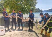 Ngeri! Piton sepanjang 6 Meter ‘Mampir’ ke Rumah Warga Padang Ini