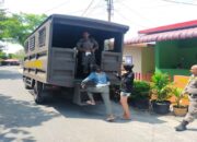 10 Orang Ditangkap Satpol PP Padang di Penginapan, 2 Berstatus PSK