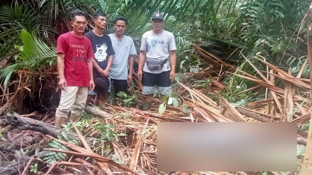 TEKS FOTO: Penemuan mayat di di ladang sagu di Desa Saliguma, Kecamatan Siberut Tengah, Kabupaten Kepulauan Mentawai, Sumatera Barat (Sumbar) pada Jumat (28/4/2023) pagi. (Foto: Dok. Istimewa)