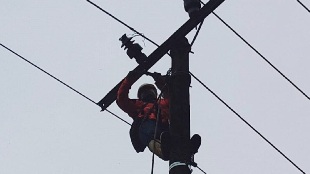 Perbaikan jaringan PLN pasca gempa. (Dok. PLN)