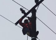 PLN jadi Perusahaan Paling Populer Berkat Aplikasi di Gawai