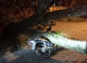 Duka Seorang Ayah di Padang Jelang Lebaran, Anak Meninggal usai Tertimpa Pohon