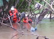 Pria Gaek Pemotong Rumput Hanyut di Sungai Limapuluh Kota