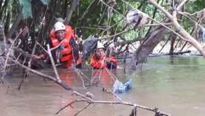 Pencarian pria tua yang hilang di Sungai Jorong Parak Baru Taram, Kabupaten Limapuluh Kota. (Foto: Dok. Basarnas)