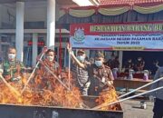 Kejari Pasbar Musnahkan 8 Kg Ganja dan 53,57 Gram Sabu BB Perkara Pidana Umum